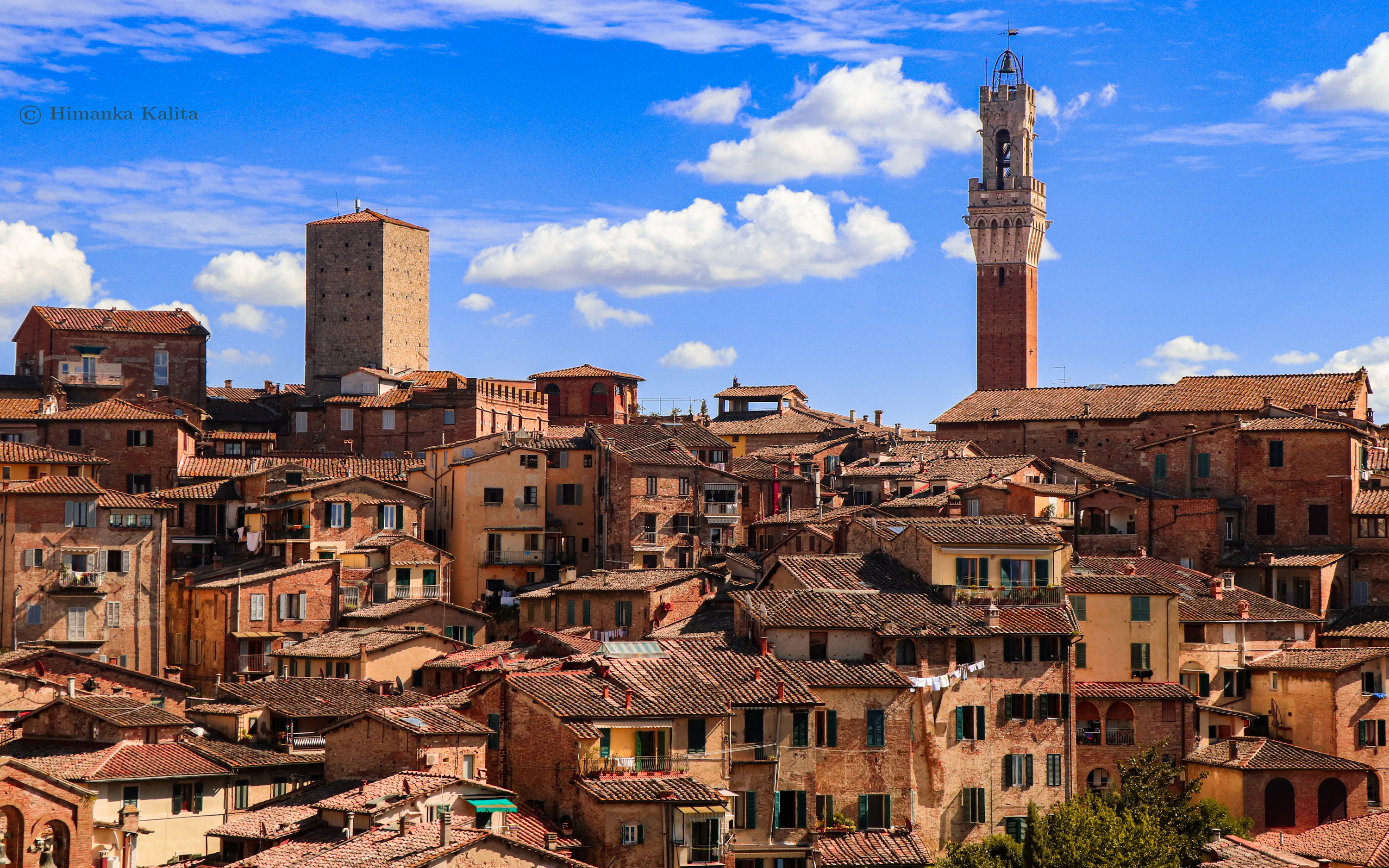 siena